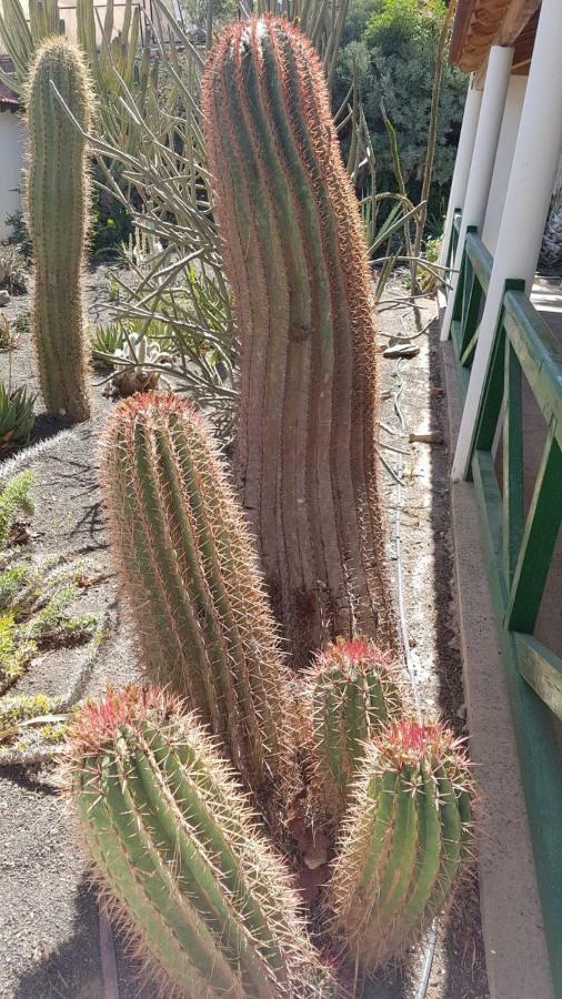Villa De Cactualdea San Nicolás Exterior photo